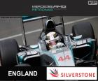 Lewis Hamilton 2015 Britanya Grand Prix zaferi kutluyor